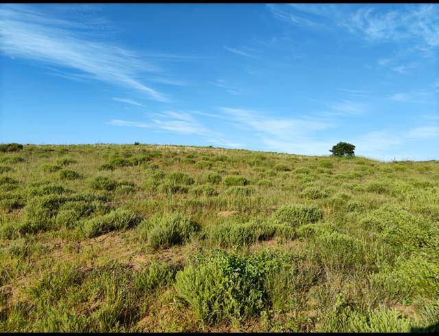 1,410M² VACANT LAND FOR SALE IN SEATON ESTATE